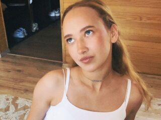 chat room live cam VeniceMidden